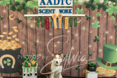 2024-AADTC-Scent-Trial-3-16-3-17-1415