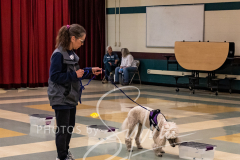 2024-AADTC-Scent-Trial-3-16-3-17-1457