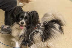 2024-AADTC-Scent-Trial-3-16-3-17-1467