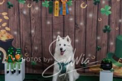 2024-AADTC-Scent-Trial-3-16-3-17-1475