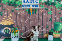 2024-AADTC-Scent-Trial-3-16-3-17-1478