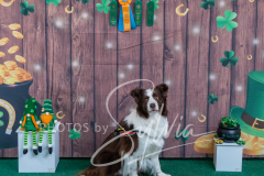 2024-AADTC-Scent-Trial-3-16-3-17-1480