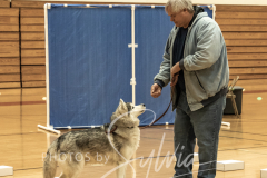 2024-AADTC-Scent-Trial-3-16-3-17-149