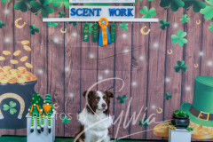 2024-AADTC-Scent-Trial-3-16-3-17-1496