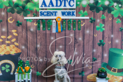 2024-AADTC-Scent-Trial-3-16-3-17-1506