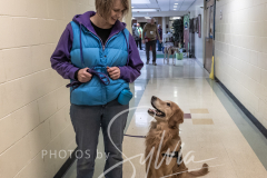 2024-AADTC-Scent-Trial-3-16-3-17-1525