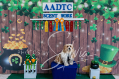 2024-AADTC-Scent-Trial-3-16-3-17-1535