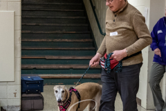 2024-AADTC-Scent-Trial-3-16-3-17-154