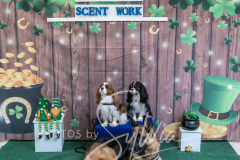 2024-AADTC-Scent-Trial-3-16-3-17-1565