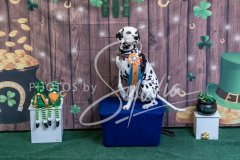 2024-AADTC-Scent-Trial-3-16-3-17-1573