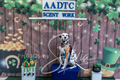 2024-AADTC-Scent-Trial-3-16-3-17-1575