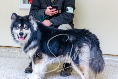 2024-AADTC-Scent-Trial-3-16-3-17-1578