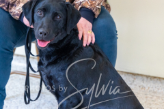 2024-AADTC-Scent-Trial-3-16-3-17-1585