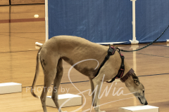 2024-AADTC-Scent-Trial-3-16-3-17-159