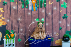 2024-AADTC-Scent-Trial-3-16-3-17-1600