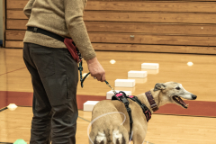 2024-AADTC-Scent-Trial-3-16-3-17-162