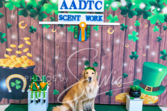 2024-AADTC-Scent-Trial-3-16-3-17-1648