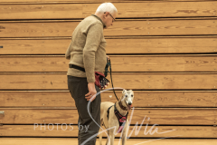 2024-AADTC-Scent-Trial-3-16-3-17-165