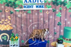 2024-AADTC-Scent-Trial-3-16-3-17-1674