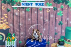 2024-AADTC-Scent-Trial-3-16-3-17-1676