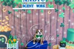 2024-AADTC-Scent-Trial-3-16-3-17-1685