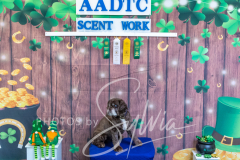 2024-AADTC-Scent-Trial-3-16-3-17-1695