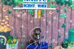 2024-AADTC-Scent-Trial-3-16-3-17-1699