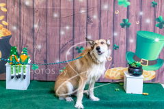 2024-AADTC-Scent-Trial-3-16-3-17-1704