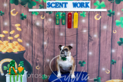 2024-AADTC-Scent-Trial-3-16-3-17-1732