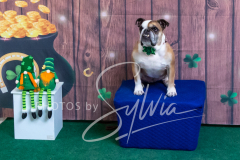 2024-AADTC-Scent-Trial-3-16-3-17-1733