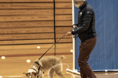 2024-AADTC-Scent-Trial-3-16-3-17-174