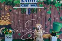 2024-AADTC-Scent-Trial-3-16-3-17-1769