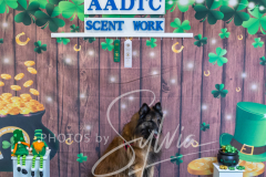2024-AADTC-Scent-Trial-3-16-3-17-1772