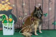 2024-AADTC-Scent-Trial-3-16-3-17-1775