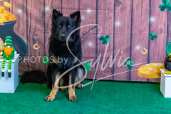 2024-AADTC-Scent-Trial-3-16-3-17-1801