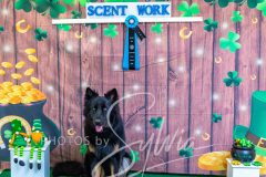 2024-AADTC-Scent-Trial-3-16-3-17-1805