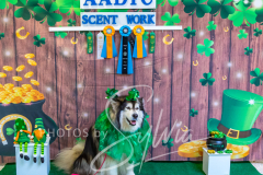 2024-AADTC-Scent-Trial-3-16-3-17-1807