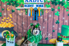 2024-AADTC-Scent-Trial-3-16-3-17-1809