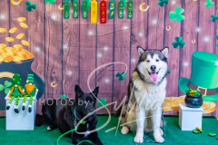 2024-AADTC-Scent-Trial-3-16-3-17-1818