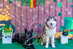 2024-AADTC-Scent-Trial-3-16-3-17-1820