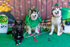 2024-AADTC-Scent-Trial-3-16-3-17-1822