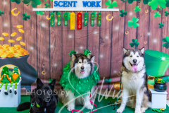 2024-AADTC-Scent-Trial-3-16-3-17-1823