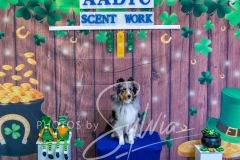 2024-AADTC-Scent-Trial-3-16-3-17-1837