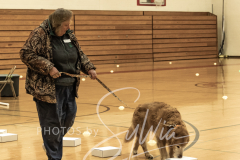 2024-AADTC-Scent-Trial-3-16-3-17-187