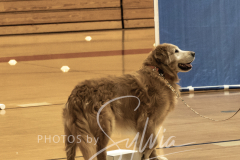 2024-AADTC-Scent-Trial-3-16-3-17-188