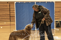 2024-AADTC-Scent-Trial-3-16-3-17-191