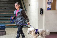 2024-AADTC-Scent-Trial-3-16-3-17-198