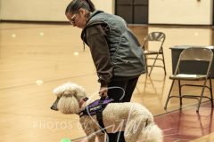 2024-AADTC-Scent-Trial-3-16-3-17-199