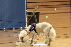 2024-AADTC-Scent-Trial-3-16-3-17-203