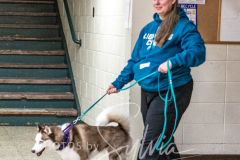 2024-AADTC-Scent-Trial-3-16-3-17-209